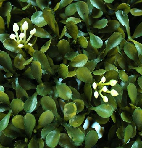 Floristik24 Box ball Ø30cm