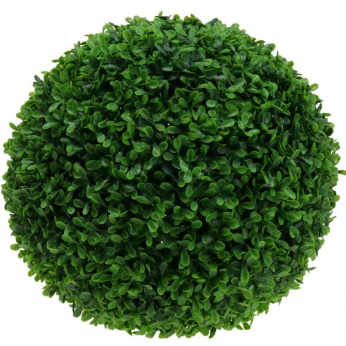 Boxwood ball green Ø55cm