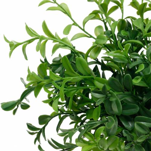 Floristik24 Boxwood branches boxwood on the pick artificial green plant 6 pieces