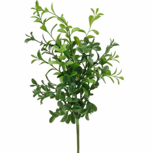 Floristik24 Boxwood branches boxwood on the pick artificial green plant 6 pieces