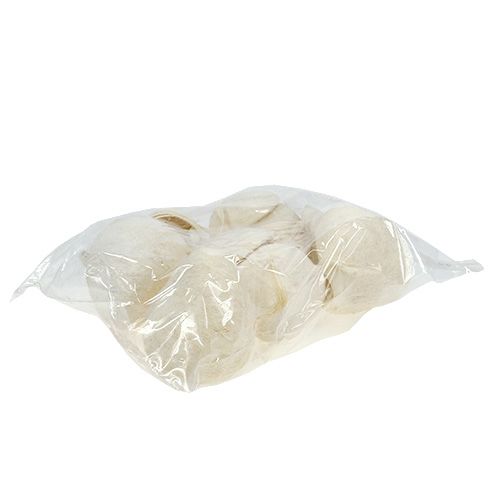 Product Buddha Nut bleached 10 pcs