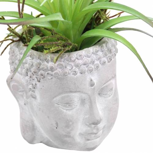 Floristik24 Buddha head for planting concrete gray, white washed Ø8 H8cm