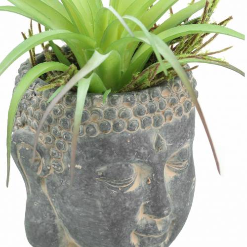 Floristik24 Buddha head for planting antique look concrete black Ø8 H8cm