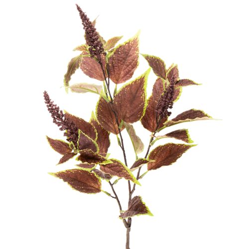 Artificial coleus with red leaves, artificial plant, 20cm buy online | Floristik24.ie