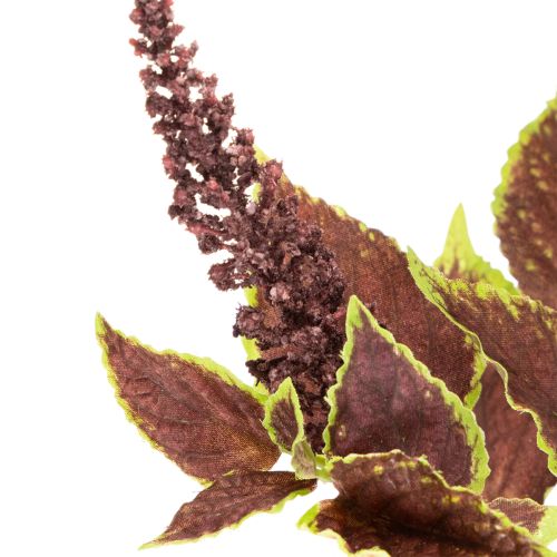 Artificial coleus with red leaves, artificial plant, 20cm | Floristik24.ie