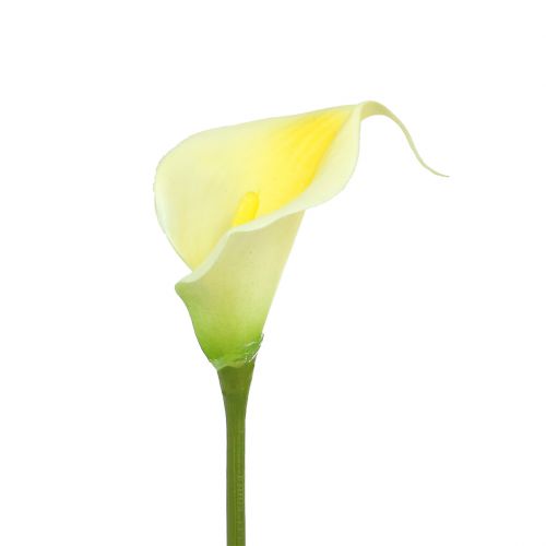 Floristik24 Artificial Calla Yellow 57cm 12 pcs