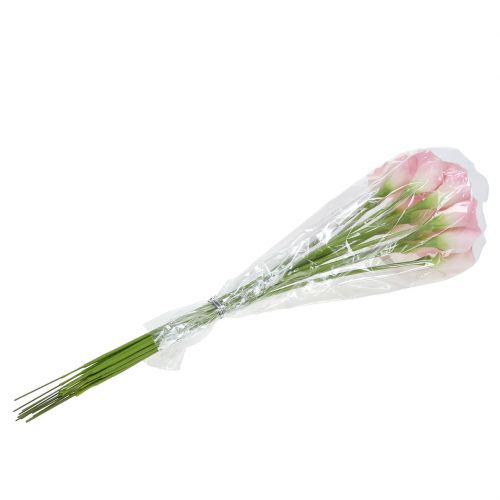 Calla decorative flower pink