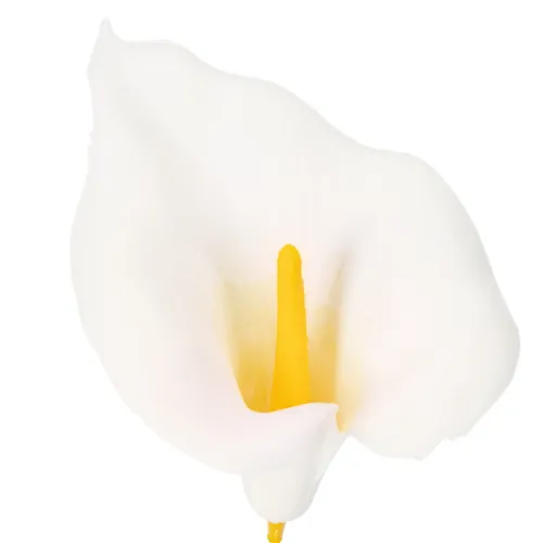 Artificial Calla Lily with yellow stamen, decorative blossoms, 35cm, 10 pieces | Floristik24.ie