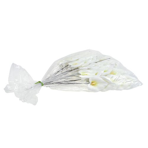 Product Calla on Wire Small White 50 Pcs