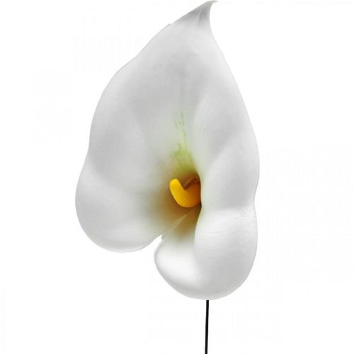Product Calla medium on wire 50 pcs