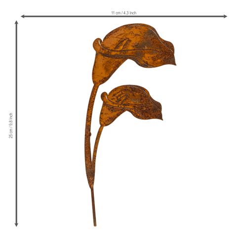 Garden stake Calla flower rust for graves and floristry 25cm 6pcs | Floristik24.ie