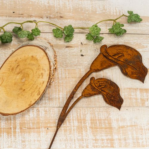 Garden stake Calla flower rust for graves and floristry 25cm 6pcs | Floristik24.ie