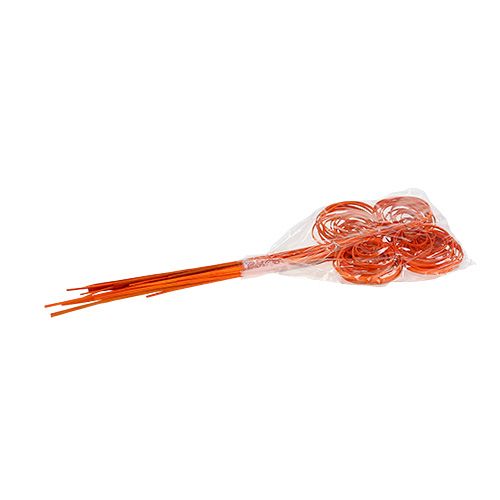 Product Cane Coil orange 25 pcs.