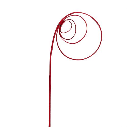 Floristik24 Cane Coil Wine Red 25 pcs
