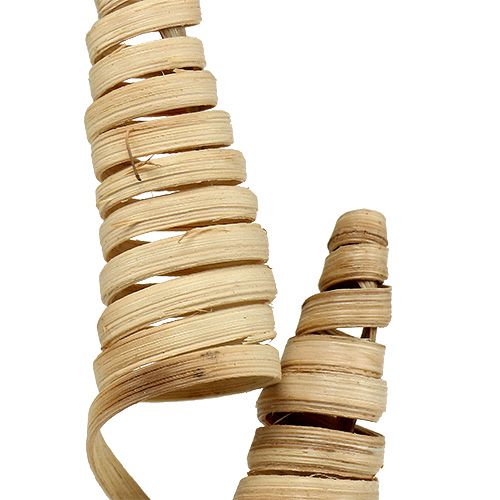 Product Cane Cone natural 25 pcs