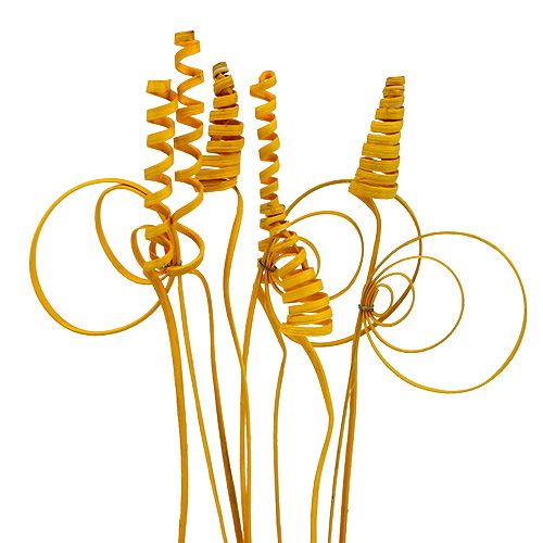 Product Cane assortment mini golden yellow 75 pcs