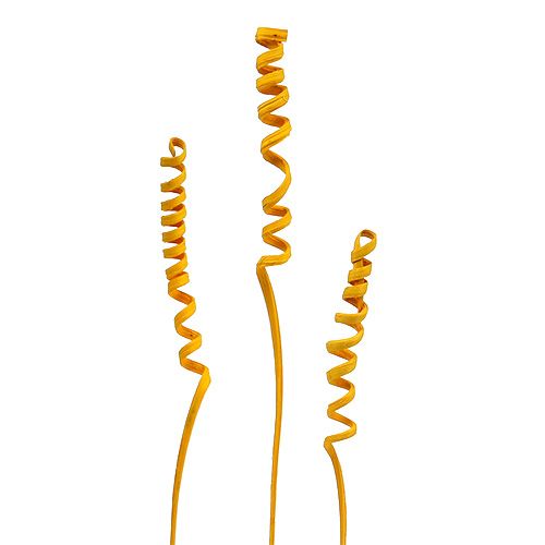 Floristik24 Cane Spring mini golden yellow 25 pcs