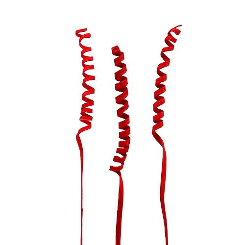 Floristik24 Cane Spring mini Red 25 pcs