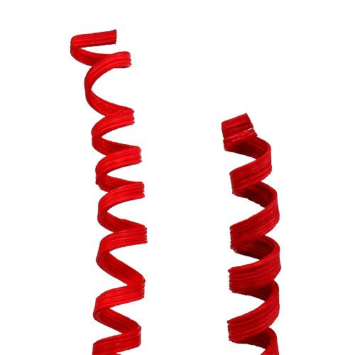 Floristik24 Cane Spring mini Red 25 pcs