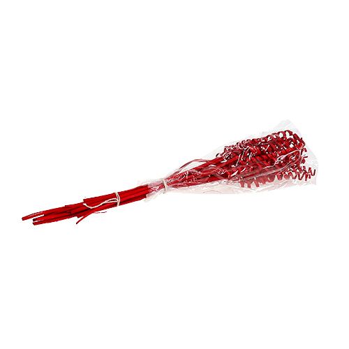 Floristik24 Cane Spring mini Red 25 pcs