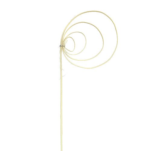 Product Cane Coil bleached 25 pcs