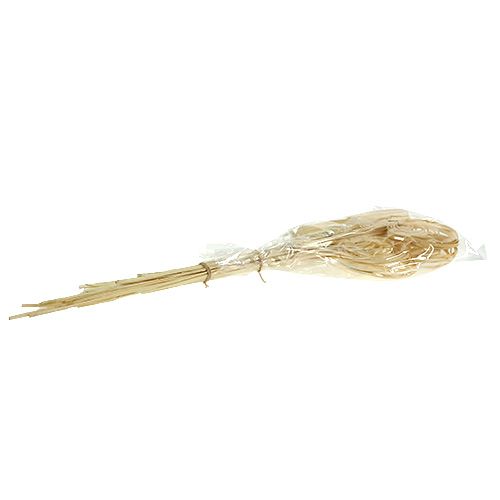 Product Cane Coil bleached 25 pcs