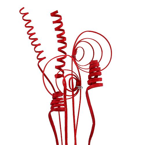 Floristik24 Cane assortment mini red 75 pcs