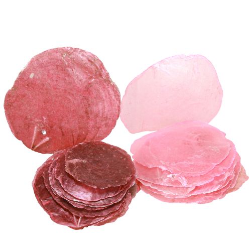 Capiz Shell Decoration in Pink Berry 5cm–8cm Mix 60 pcs