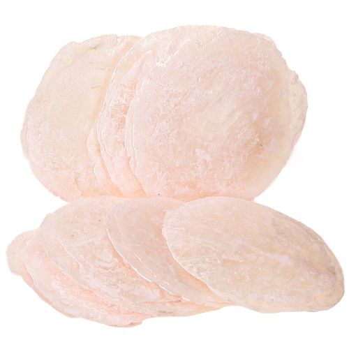 Floristik24 Capiz shells mother-of-pearl discs deco shells light pink Ø8cm