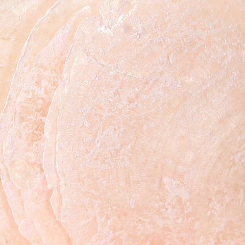 Floristik24 Capiz shells mother-of-pearl discs deco shells light pink Ø8cm