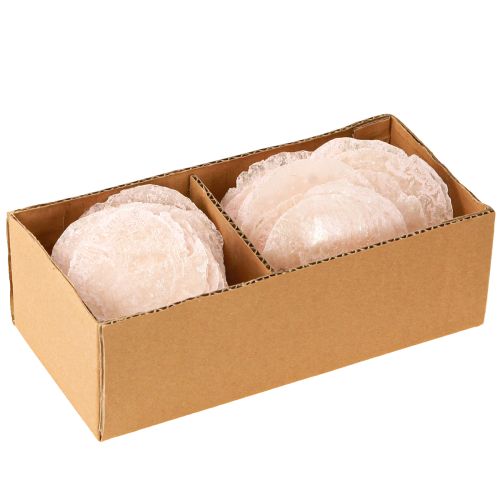 Floristik24 Capiz shells mother-of-pearl discs deco shells light pink Ø8cm