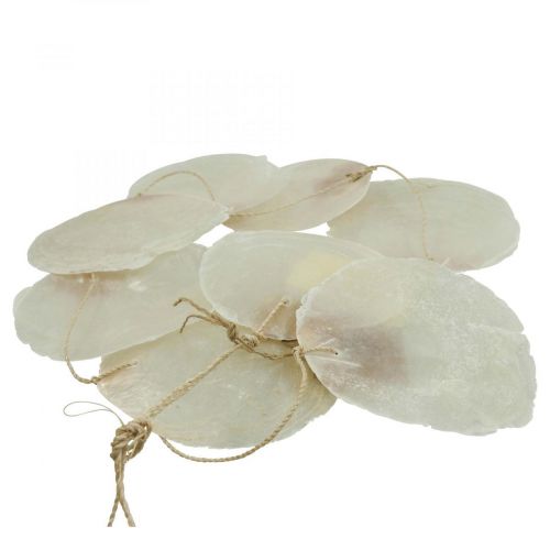 Floristik24 Capiz shell garland mother-of-pearl, maritime decoration 100cm