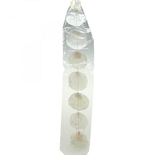 Product Capiz shell garland mother-of-pearl, maritime decoration 100cm