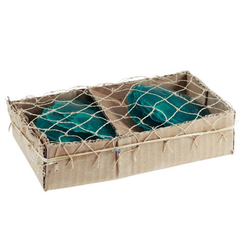 Floristik24 Capiz shells Capiz discs mother-of-pearl discs turquoise 7.5–9.5cm 300g