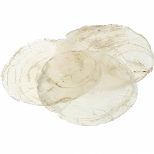 Capiz mussel 250g