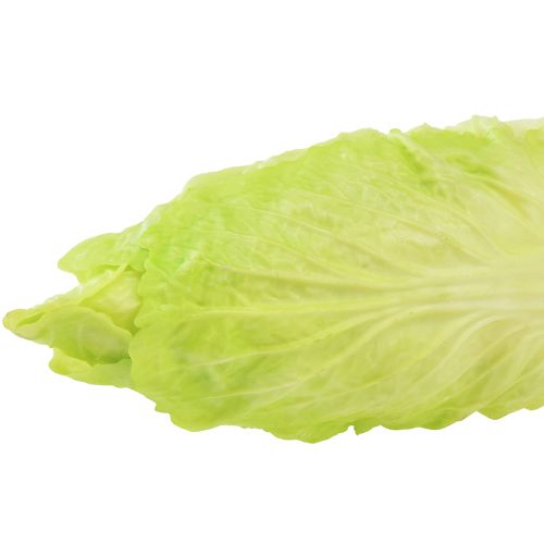 Floristik24 Chicory artificial food dummy Real Touch 17cm