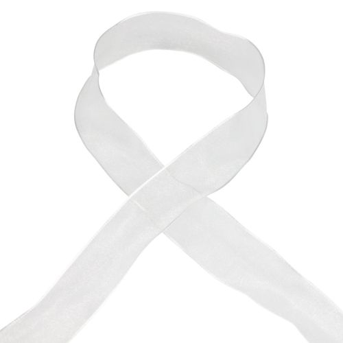Product Chiffon ribbon organza ribbon decorative ribbon organza white 40mm 20m