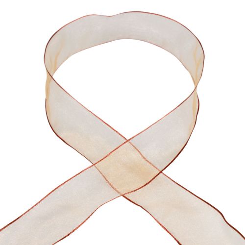 Floristik24 Chiffon ribbon organza ribbon organza orange 40mm 20m