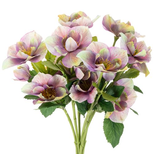 Artificial Christmas rose bunch with purple blossoms, 35cm, 6 pieces buy online | Floristik24.ie
