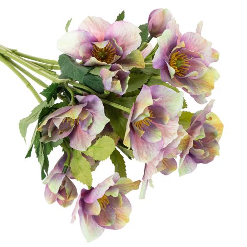 Artificial Christmas rose bunch with purple blossoms, 35cm, 6 pieces | Floristik24.ie