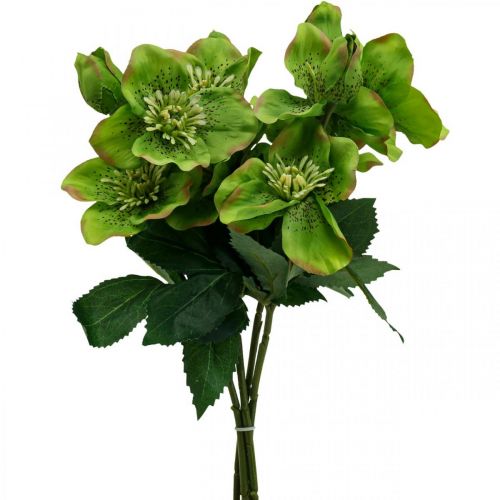 Floristik24 Christmas Rose Lenten Rose Hellebore Artificial Flowers Green L34cm 4 Pcs