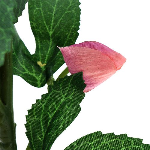 Floristik24 Christmas rose pink L22cm 1p