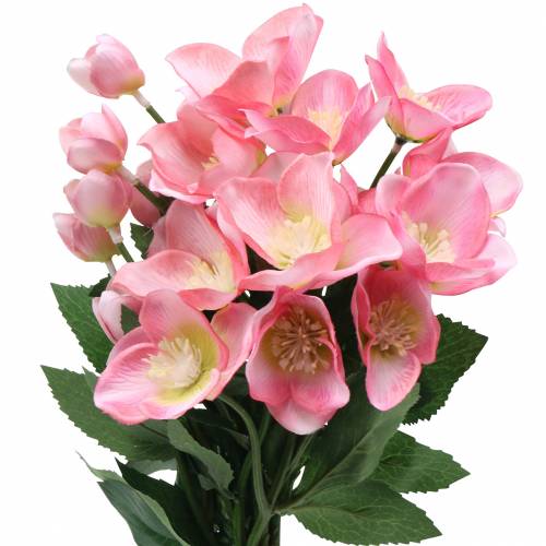 Floristik24 Bouquet of Christmas Roses Pink 29cm 4 pcs