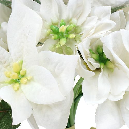 Floristik24 Christmas star in a bunch white Ø18cm L30cm