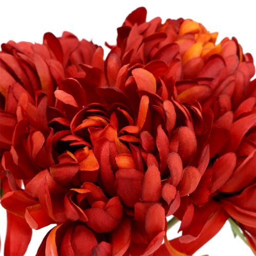 Floristik24 Chrysanthemum Bouquet Vermilion 28cm 6 pcs