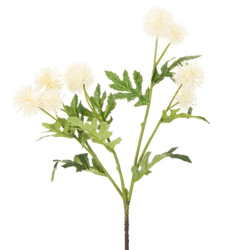 Artificial chrysanthemum flower, creamy white bunch, decorative branch, large 56cm, 4 pieces | Floristik24.ie