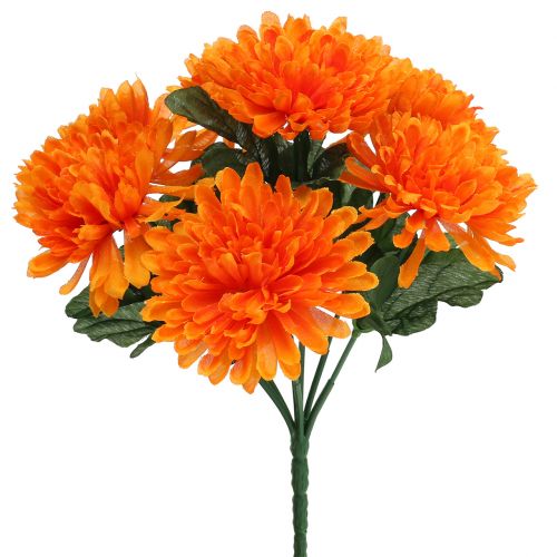 Chrysanthemum orange with 7 flowers