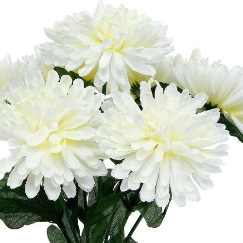 Product Chrysanthemum white with 7 flowers