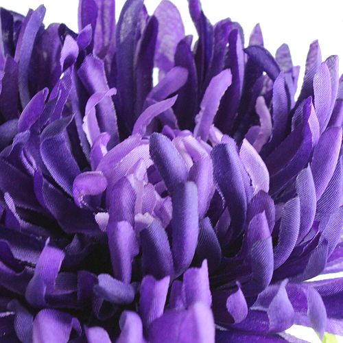 Product Chrysanthemum purple 74cm