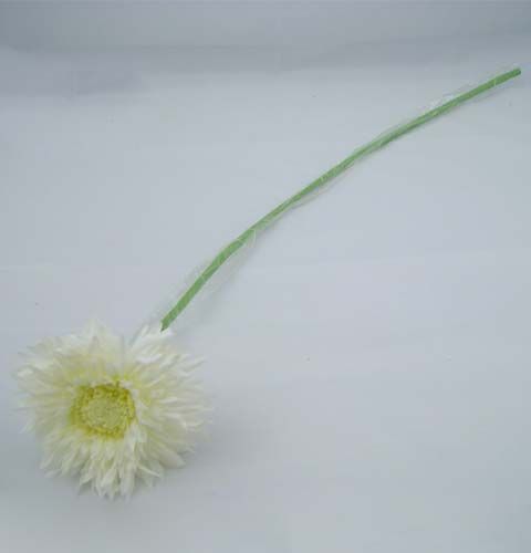 Product Chrysanthemum Teddy 63cm white